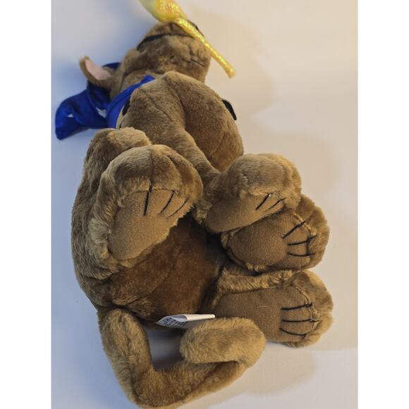 Scooby Doo 16" Vintage Plush 2002 Wizard Hat And Cape Robe Stars Blue - Picture 8 of 8